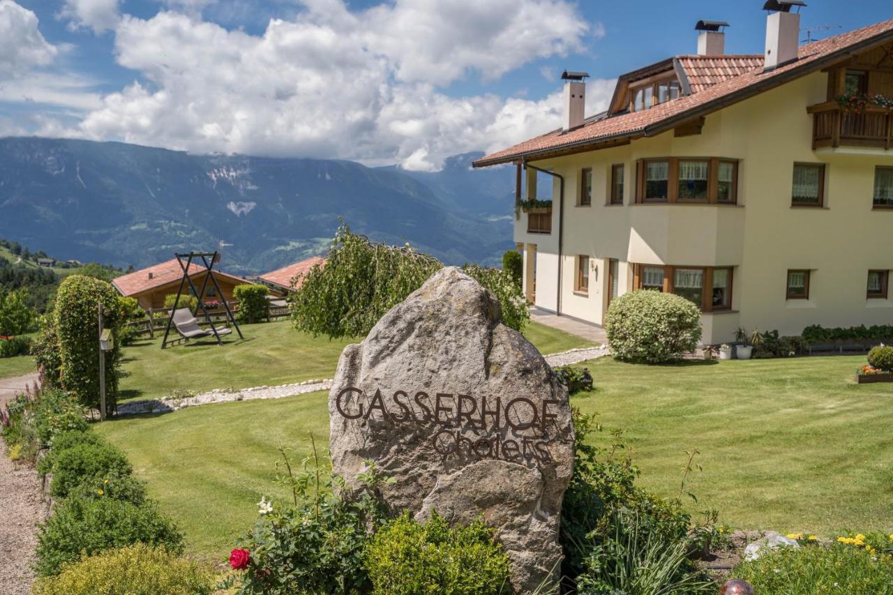 Gasserhof - Chalet A Βίλα Frassinetto  Εξωτερικό φωτογραφία